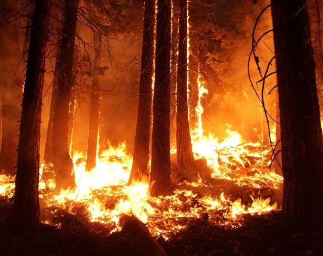 Direito Financeiro e meio ambiente